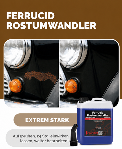 Rostumwandler Ferrucid