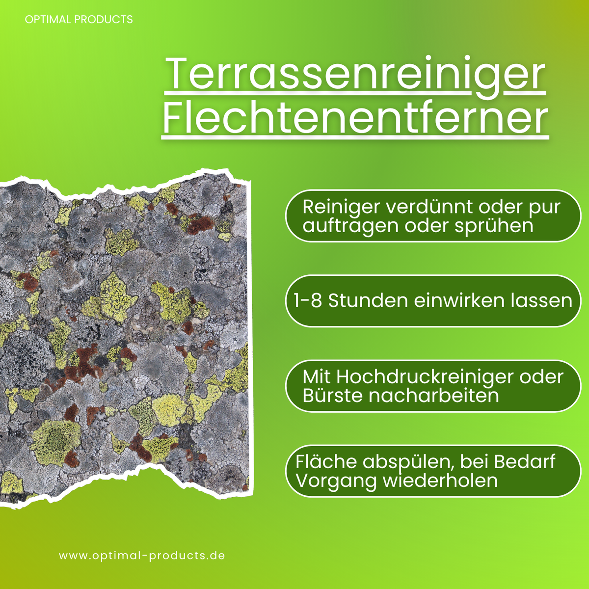 Flechtenentferner & Terrassen- und Steinreinger